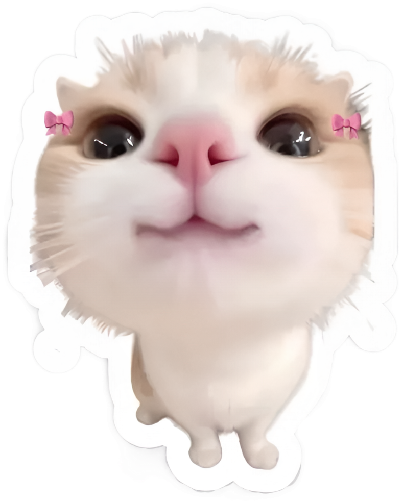 кошка-2